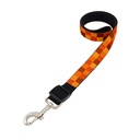 Correa Fija para Mascota 1,2 m