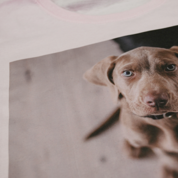 Papel Transfer Forever Inkjet Light Basic