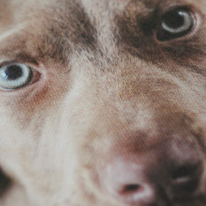 Papel Transfer Forever Inkjet Light Basic