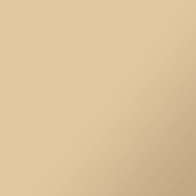 Cricut Foil Iron-On | 30,5 x 61 cm